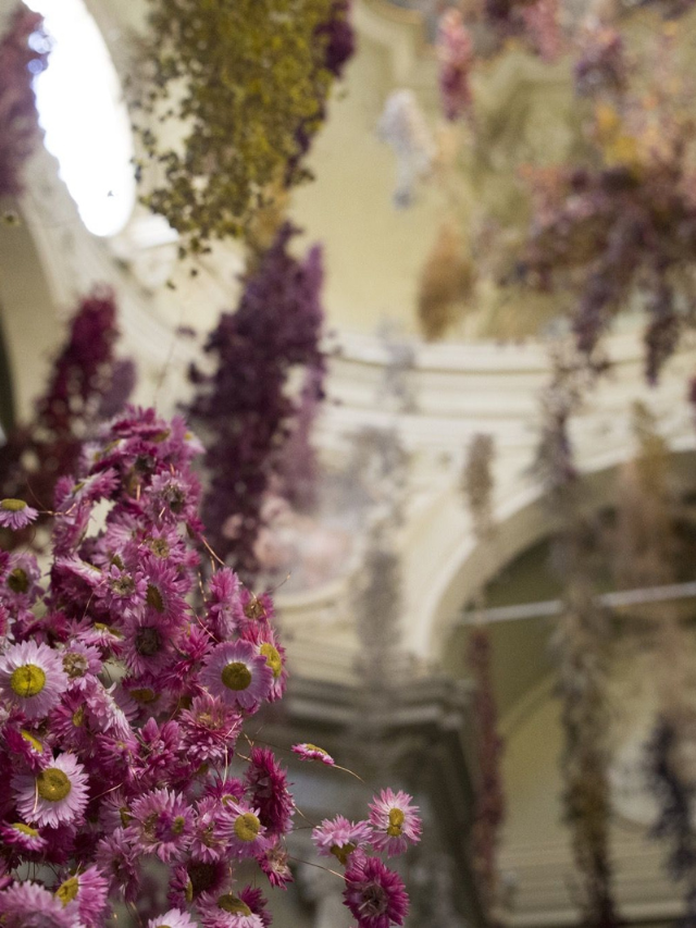 Flores secas viram arte na Italia e nos Estados Unidos